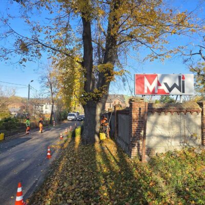 Pielęgnacja Pomników Przyrody 2025