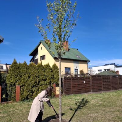 Zapuść korzenie w Redzie, 22.04.2026, fot. UMR