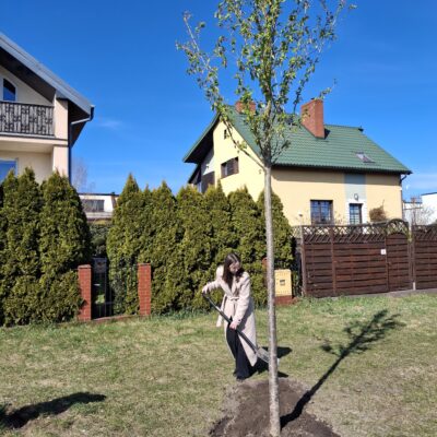 Zapuść korzenie w Redzie, 22.04.2026, fot. UMR