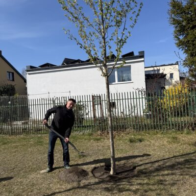 Zapuść korzenie w Redzie, 22.04.2026, fot. UMR