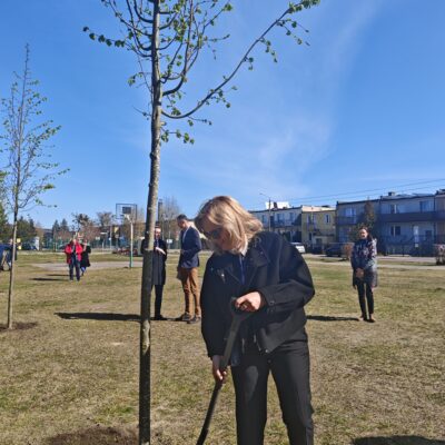 Zapuść korzenie w Redzie, 22.04.2026, fot. UMR