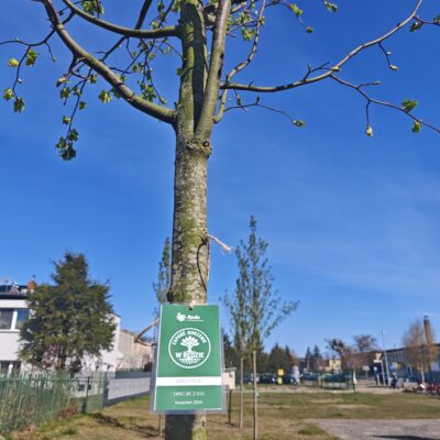 Zapuść korzenie w Redzie, 22.04.2026, fot. UMR